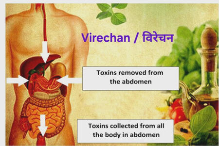 "विरेचन / Virechan" Virechan is an Ayurvedic detoxification procedure that involves the controlled administration of herbal purgatives to induce therapeutic purgation. It's part of the Panchakarma therapies and is aimed at cleansing accumulated toxins fr